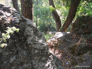 ldaia del Drago19-07-2015 09-21-11